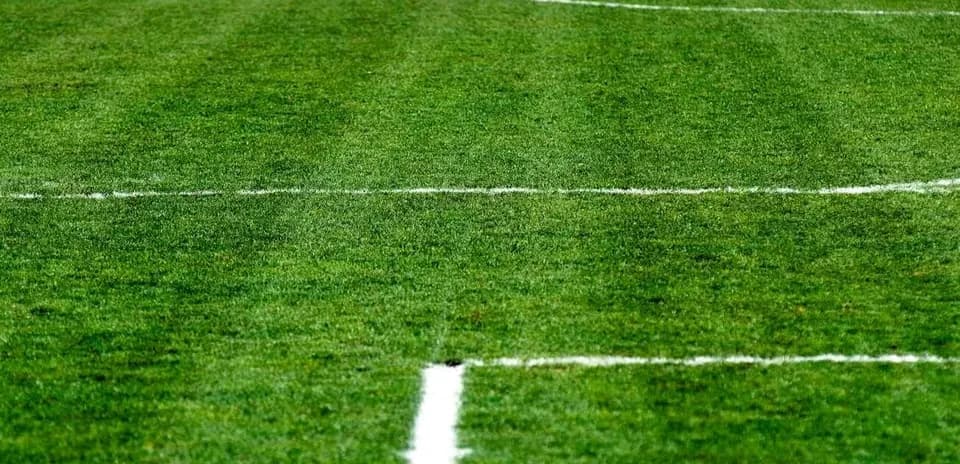 Campo de fútbol con líneas marcadas en el césped