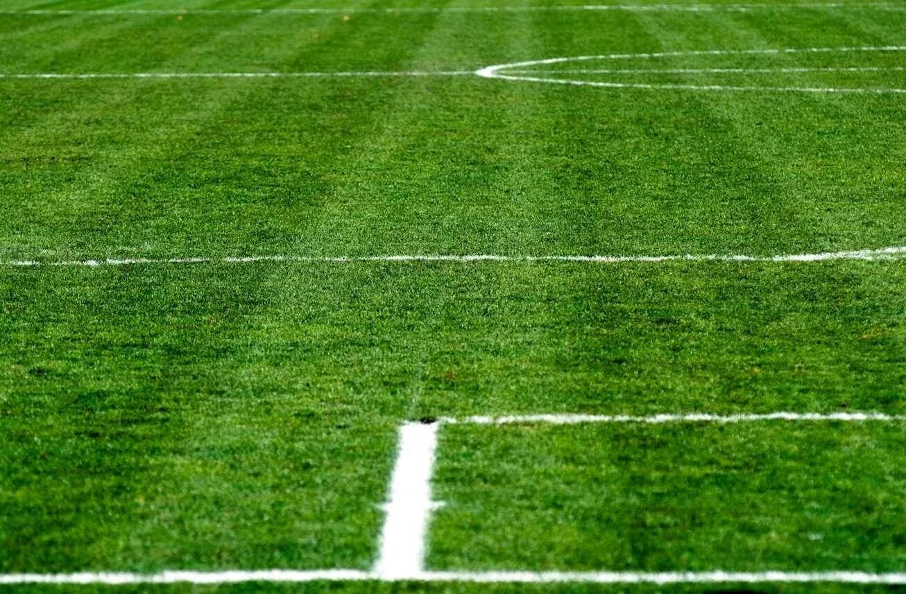 Campo de fútbol con líneas marcadas en el césped Campo de fútbol con líneas marcadas en el césped