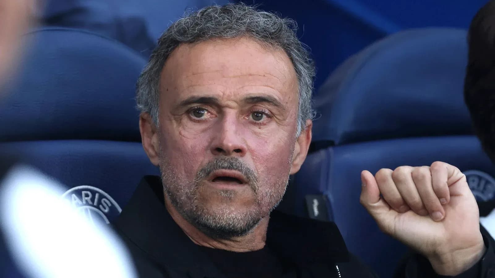 Entrenador observando desde el banquillo durante partido Entrenador observando desde el banquillo durante partido